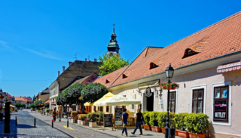 Mosonmagyaróvár Gyönyörű épületegyüttesei és középkori utcahálózata miatt sorolják a történelmi városok közé.